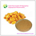 Factory Supply Directly 100% Natual Total Flavonoids of Hippophac Hippophase Rhamnoides